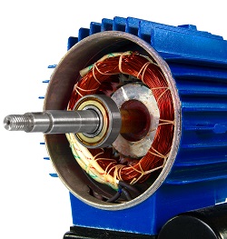 Motor